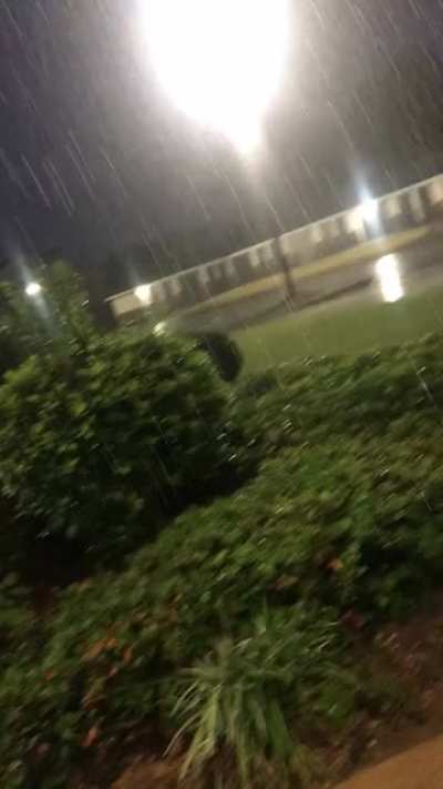 I love the rain