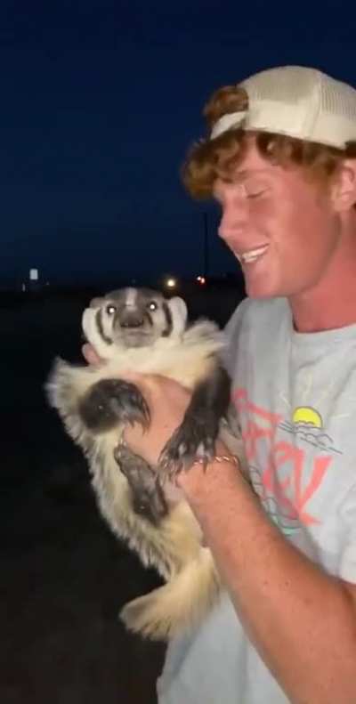 Badger