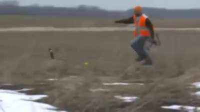 A true survivor 
