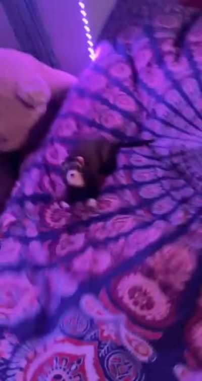 here&rsquo;s Benjamin helping me make my bed 😂💕