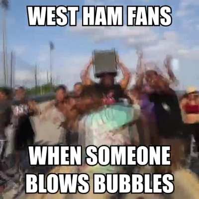 average premier league fans