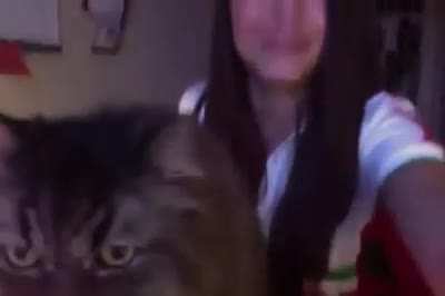 its not over til the fat cat sings (wait for it)