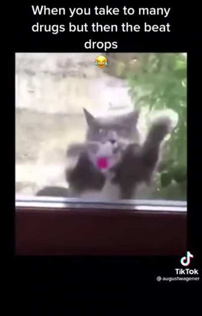 When you&rsquo;re on drugs, but also feel the need to rock out with your puss out.