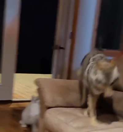 Maybe Maybe Maybe