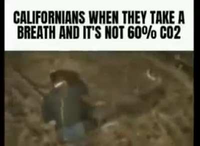 rule