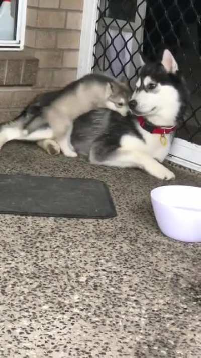 He&rsquo;s a little bit clumsy