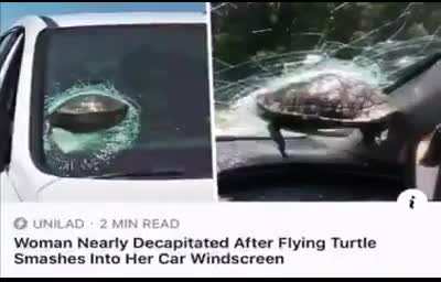 ter