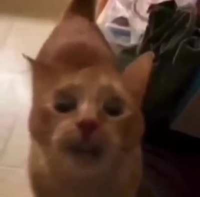 mmmmmmmmmmmmmmmm