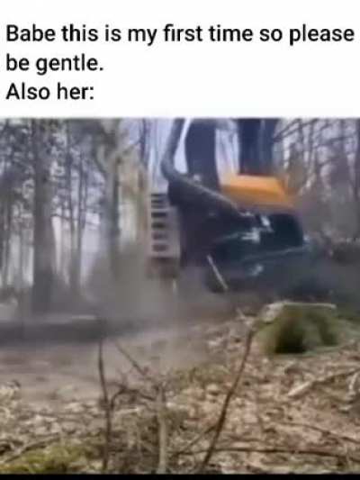 Expert