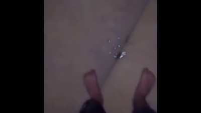 cursed_lemon