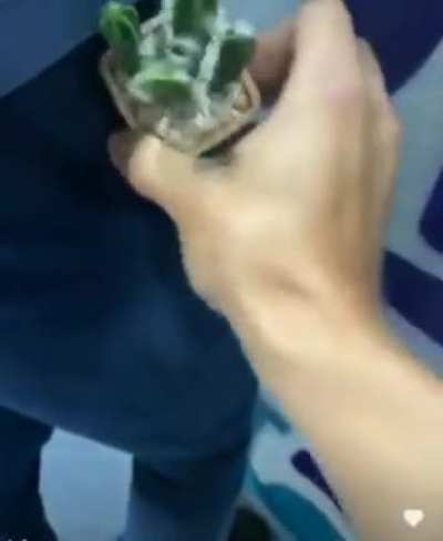 ㅤ