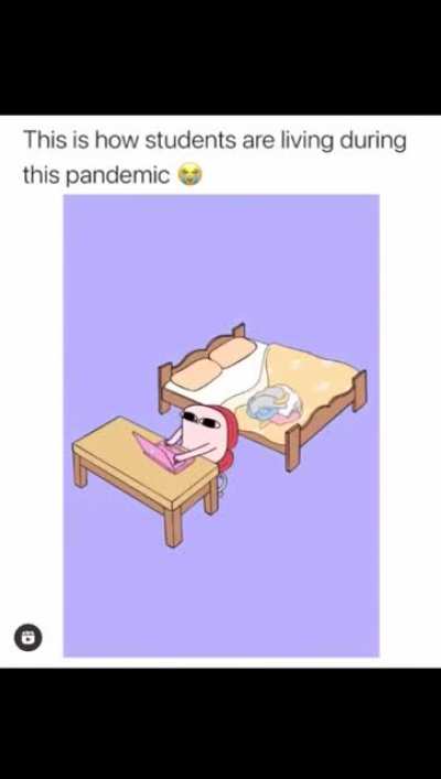 Me irl