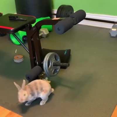 Zoooooooooooom