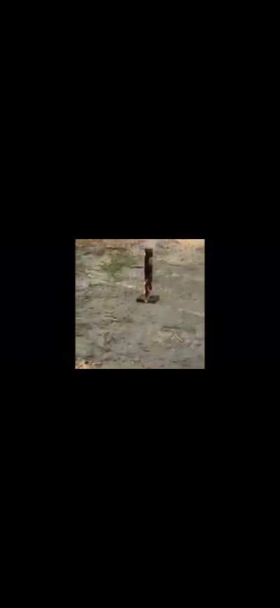 Good firework.