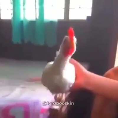Yey