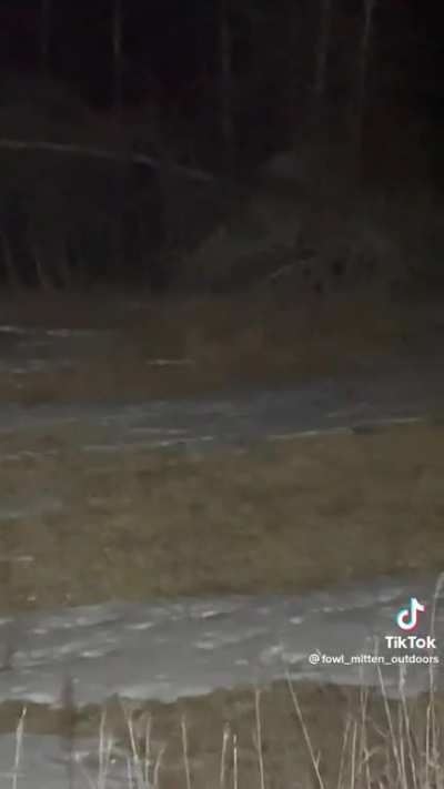 what do you think this could be?