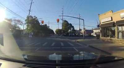 Driving through a red because it skipped yellow - who&rsquo;s the idiot