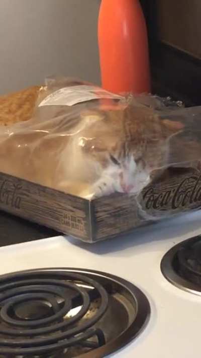 He&rsquo;s not stuck, I don&rsquo;t have any explanation...