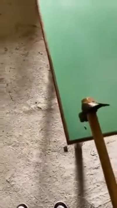 blursed_coincidence