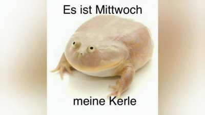 ich🇩🇪iel