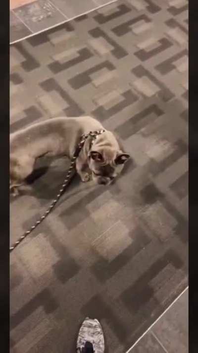 ...