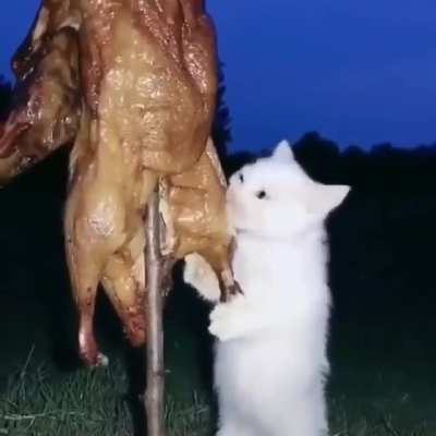 Rule