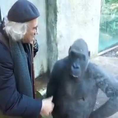 Mono filósofo 👳‍♂️