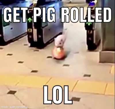 Stupid Pig gotted mee agen!!1!1