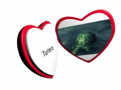 For my valentine