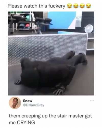 Do you lift bro?