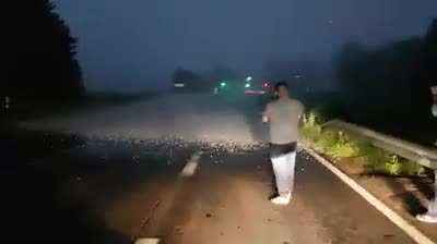 Edge of the storm