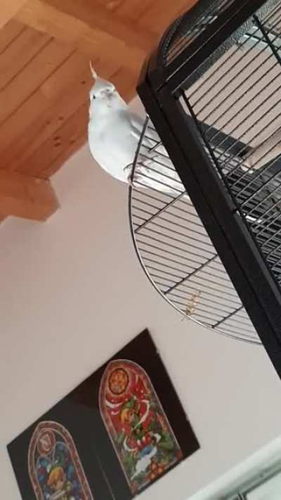 i'm just tryna take a nap