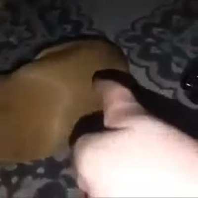 I guess he cant