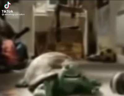 Me when I "accidentally" go to r/rule34 instead of r/NoRules