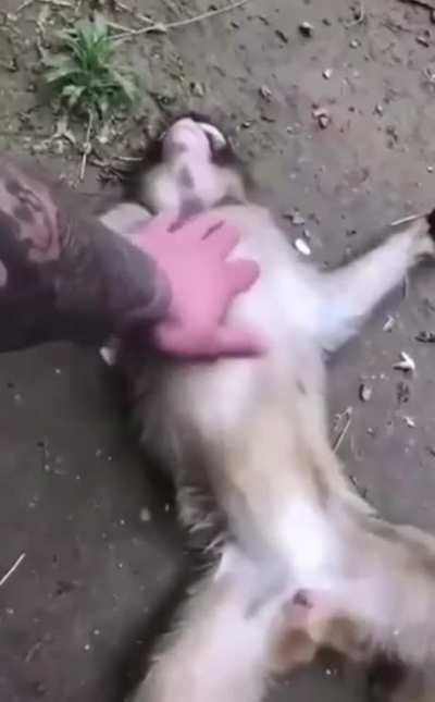 revival technique
