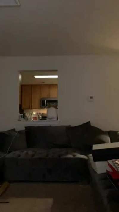 2nd part of the live