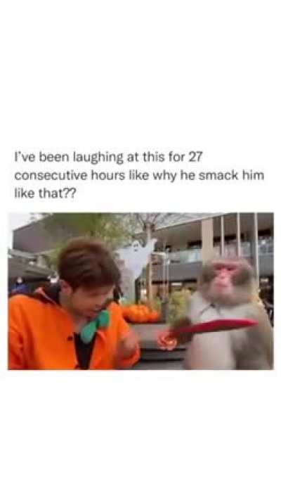 I&rsquo;ll do it better 😂🐵