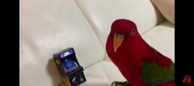 Berb