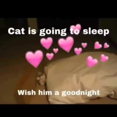 GoOD nIgHT KaTITY