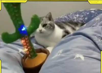 Cat see,cat do