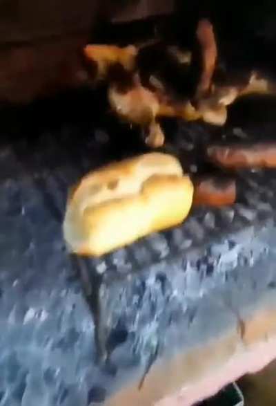 amigo fijate como va la carne