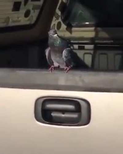 .......