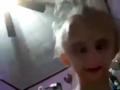 Biscuit