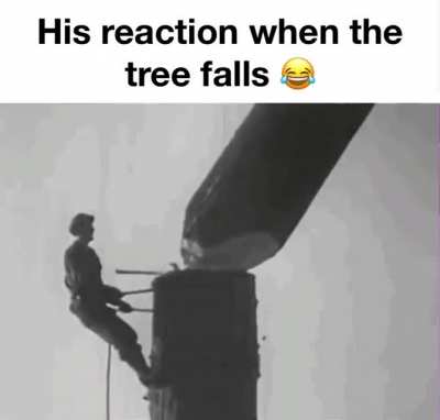 the tree has been unwelded