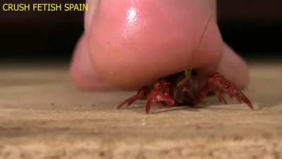 Women’s feet were made to crush 🤤👣