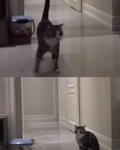 No 😞