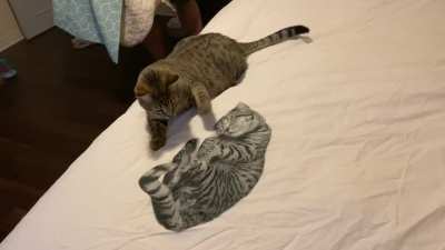 Pluto vs. the new duvet
