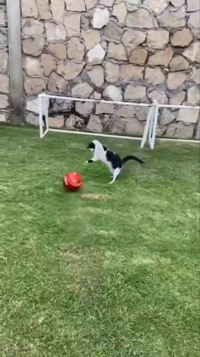Goalkeeper