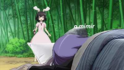 "Holy shit I killed her." -Tewi