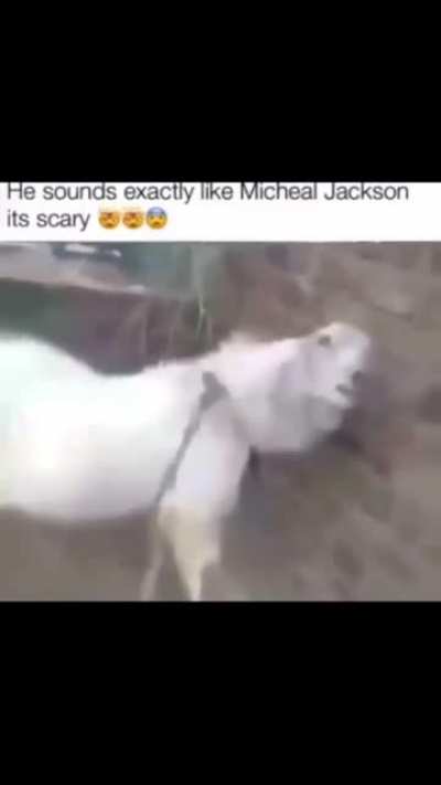 HOW?!?1😧😧😧🤯🤯